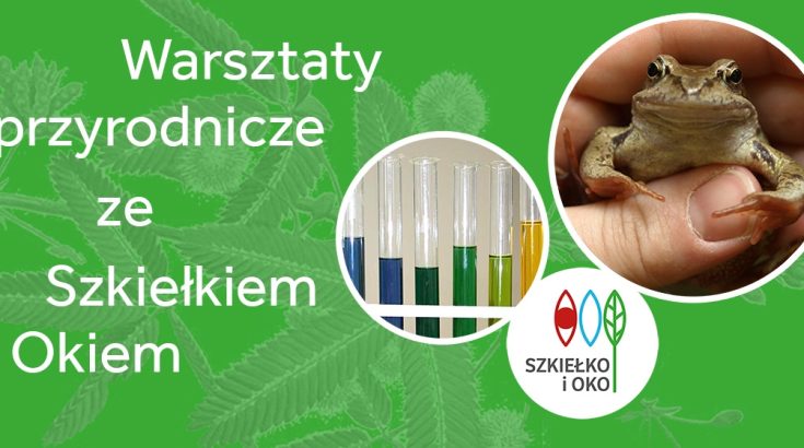 warsztaty przyrodnicze Szkiełko i Oko 7 i 14 czerwca